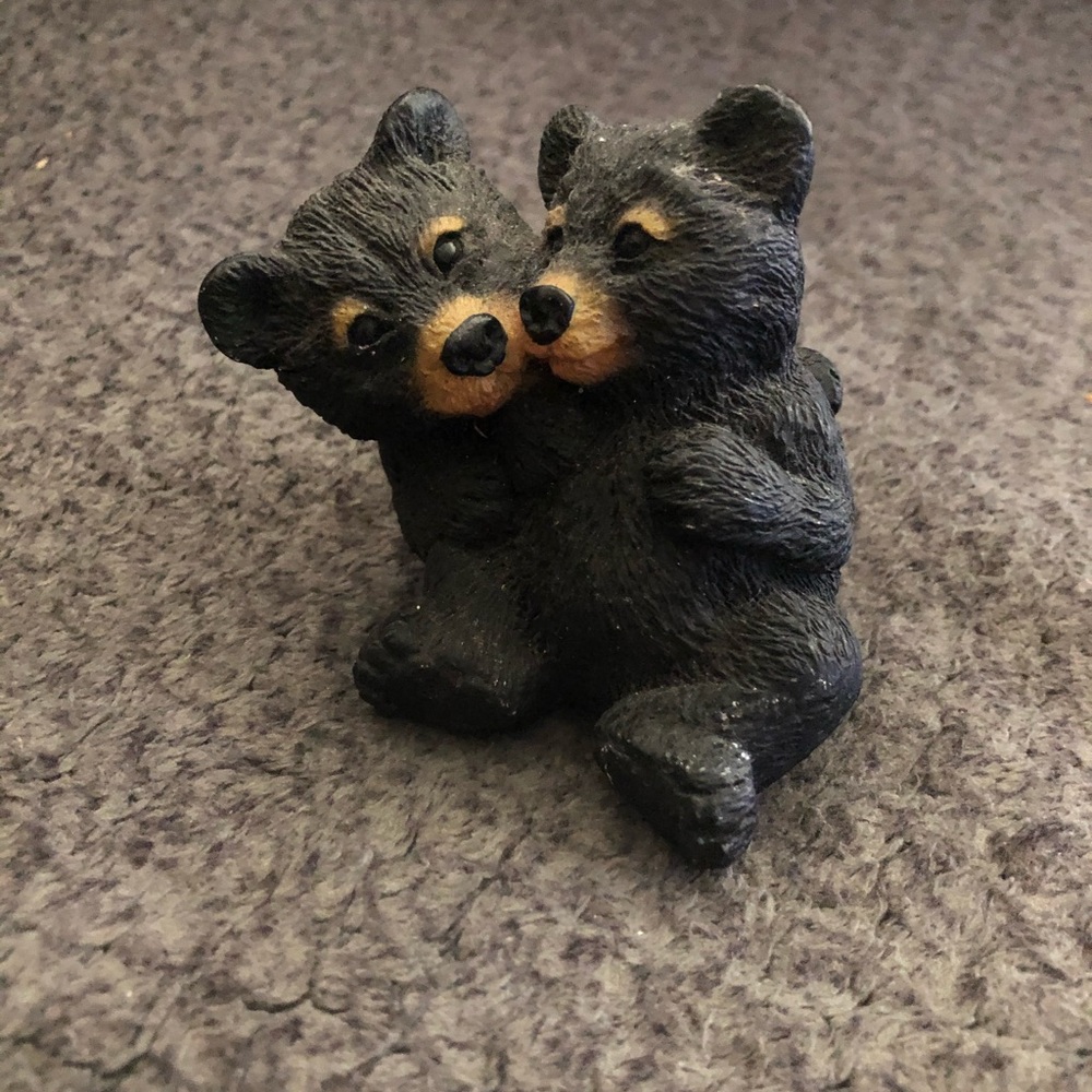 Black Bear Cubs